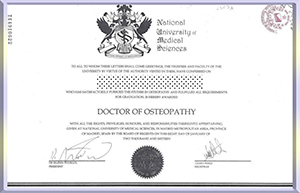 national-orthopedic-Medical-Doctor-DO),Spain)-diploma-国家医科大学骨科博士D.O.)西班牙)毕业照